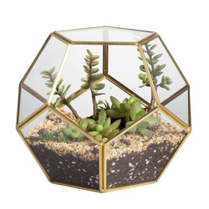 Small Geometric Dodecagon Glass Terrarium 02