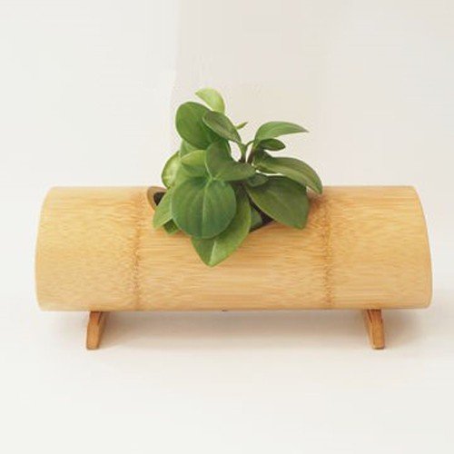 Tabletop Bamboo Planter for Single Plant A