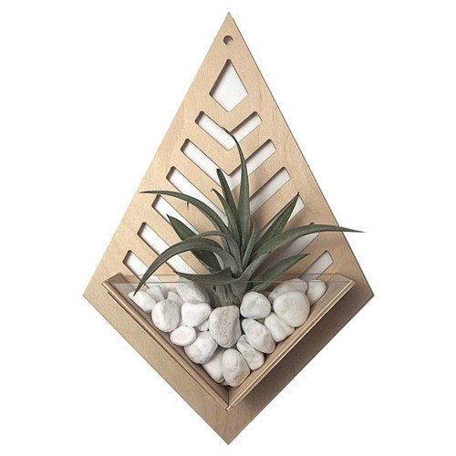 Wall Hanging Planter for Air Plants 01