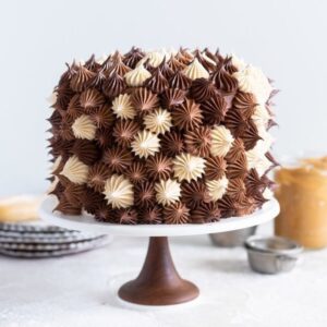 Chocolate Ombre Dollop Cake