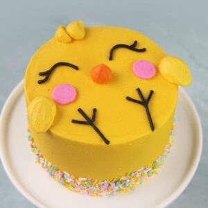 Baby Chick Spring Cake