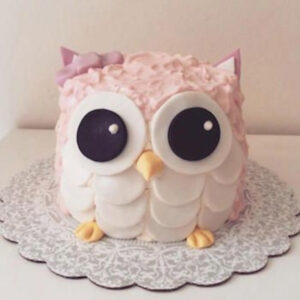 Sweet Pink Owl Cake