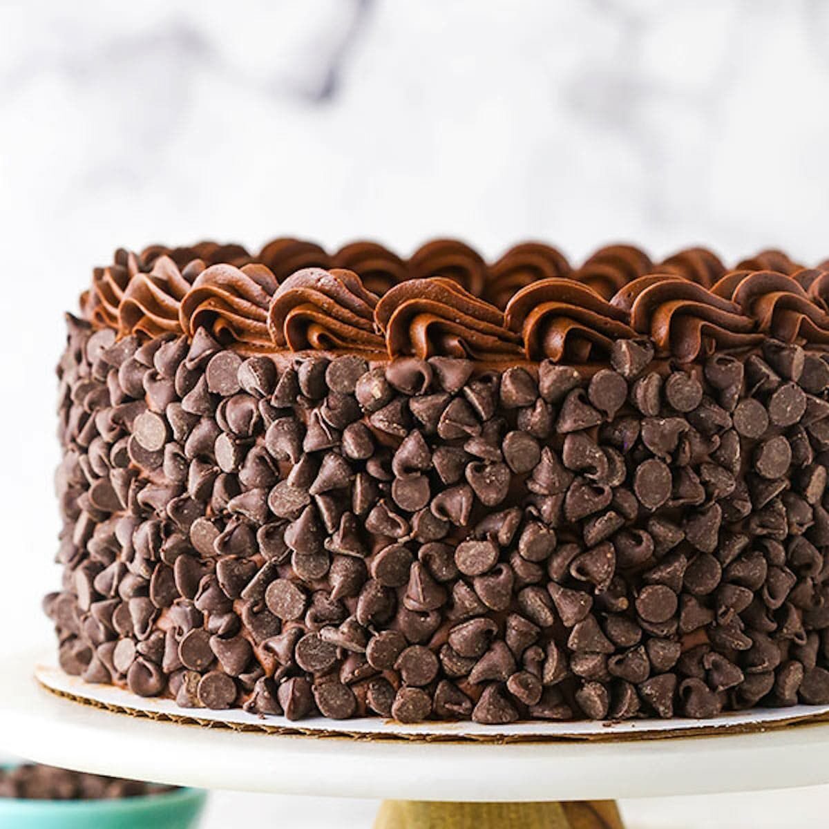 chocolate chip cake