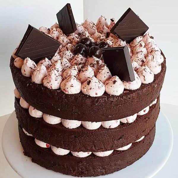 Chocolate Layered Naked Cake