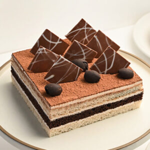 Mocha Square Decadence Cake